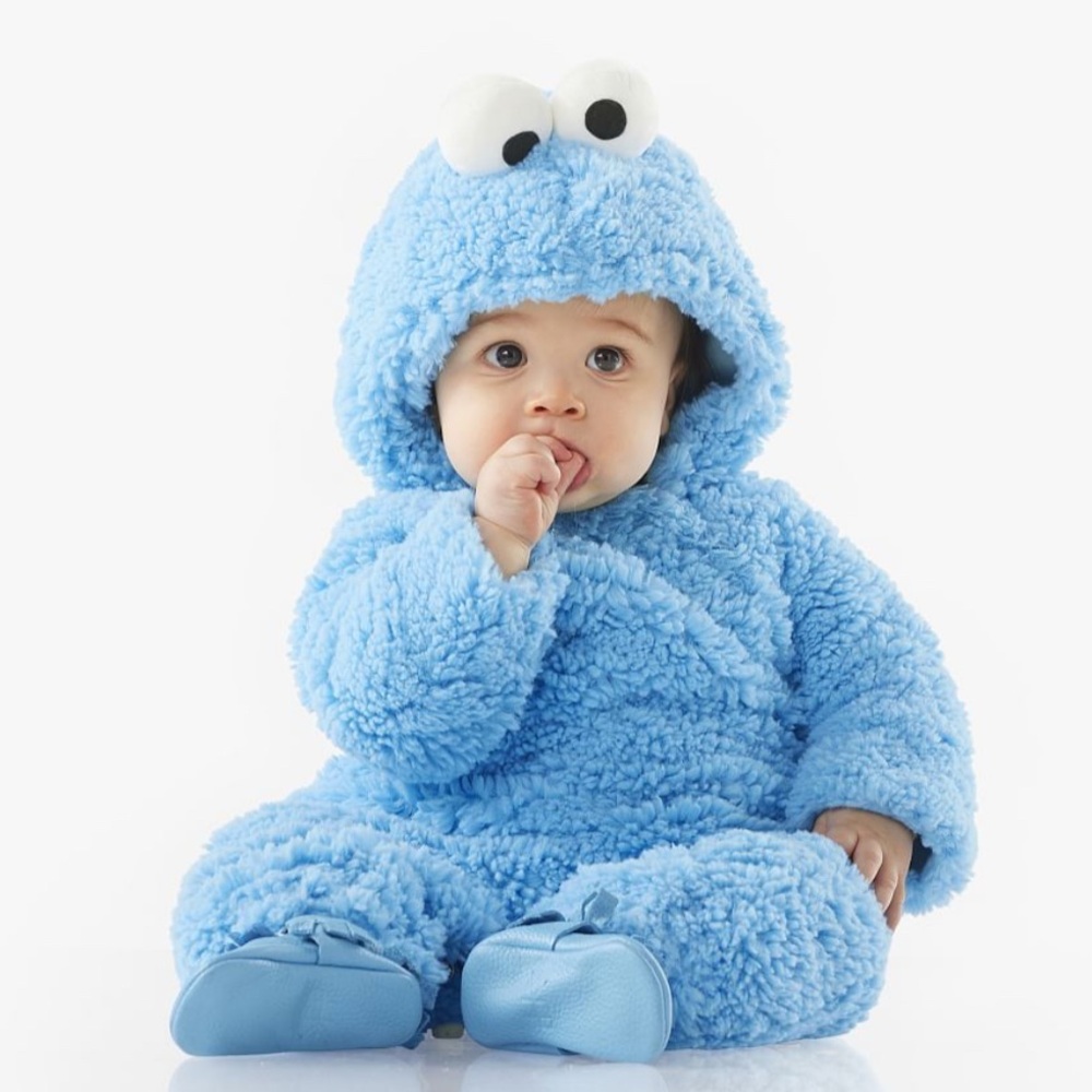 Pottery Barn Kids Cookie Monster Costume